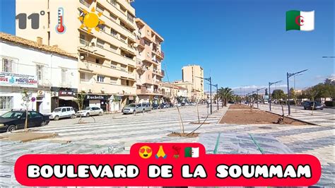 ‭SARL LE CONNAISSEUR‬ : 11 Boulevard de la Soummam 31000 